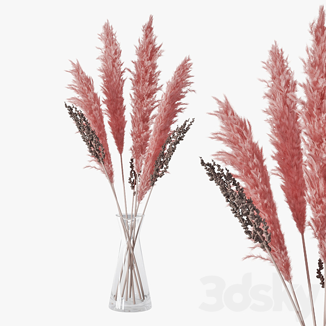 Pampas grass 04 3DSMax File - thumbnail 1