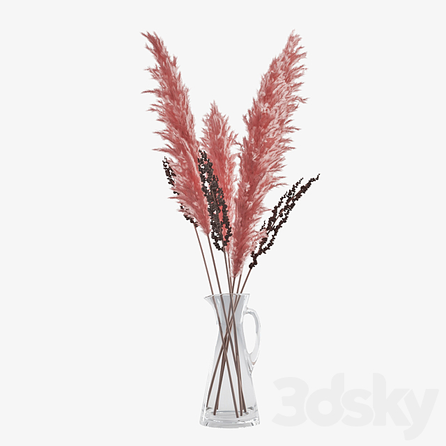 Pampas grass 04 3DSMax File - thumbnail 3