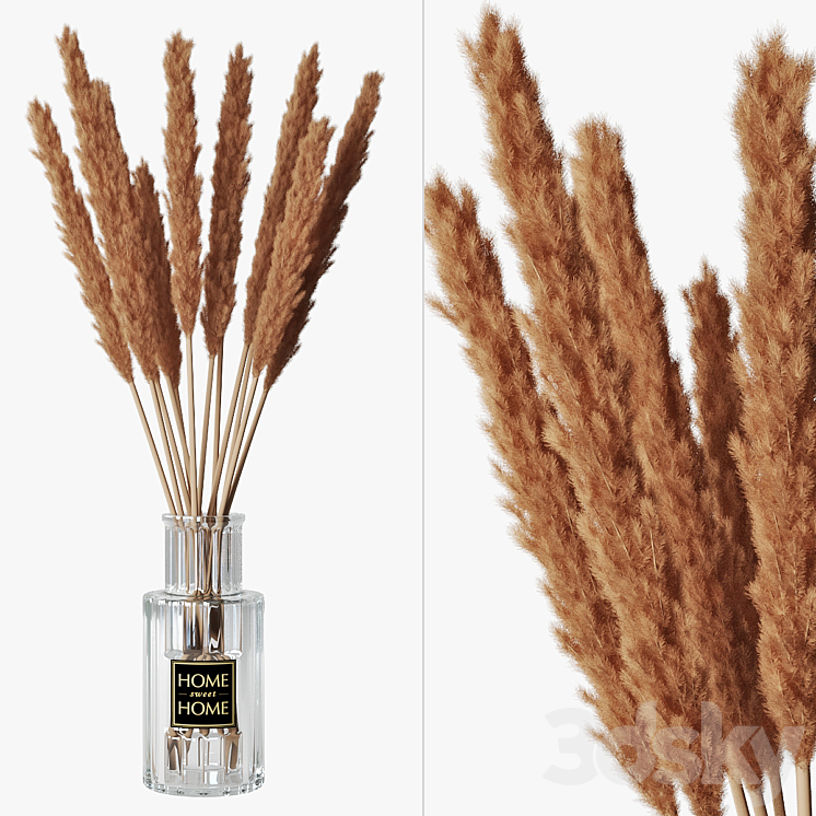 Pampas grass 05 3DS Max - thumbnail 1