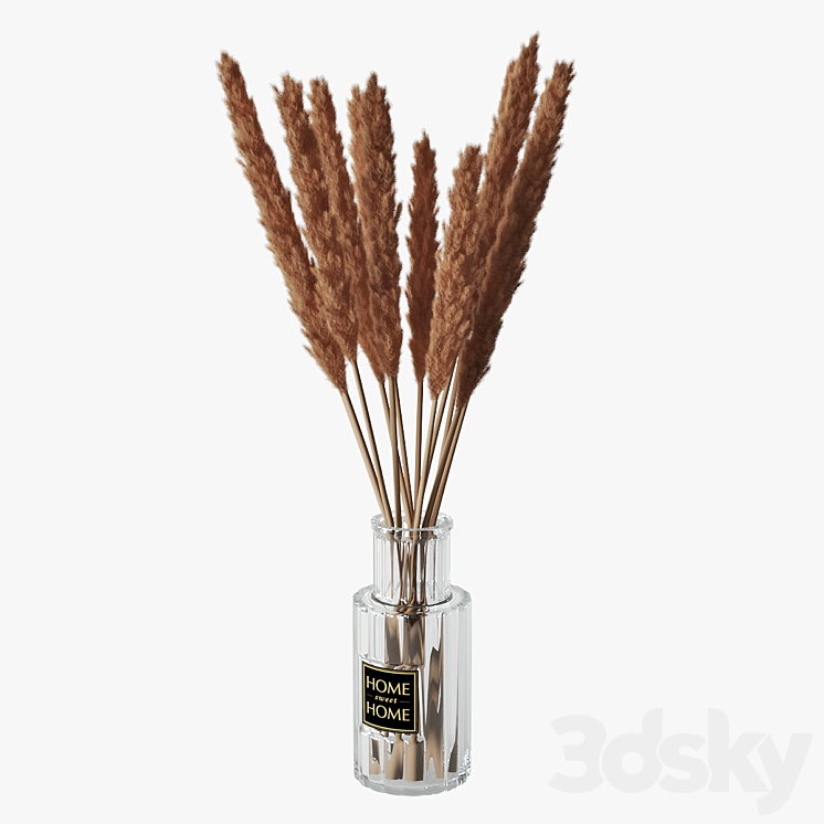 Pampas grass 05 3DS Max - thumbnail 2