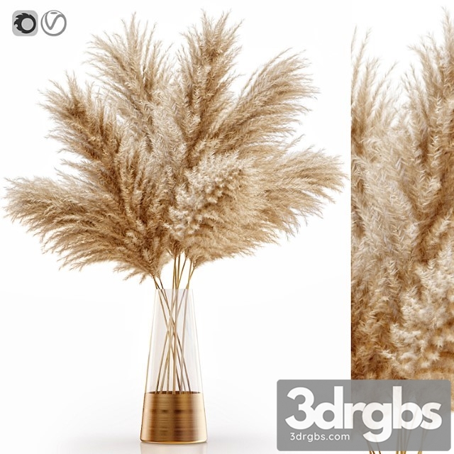 Pampas Grass 11 3dsmax Download - thumbnail 1