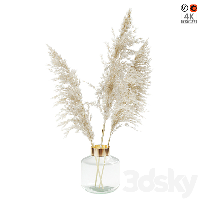 ????????? ????? (Pampas grass) 3DSMax File - thumbnail 1