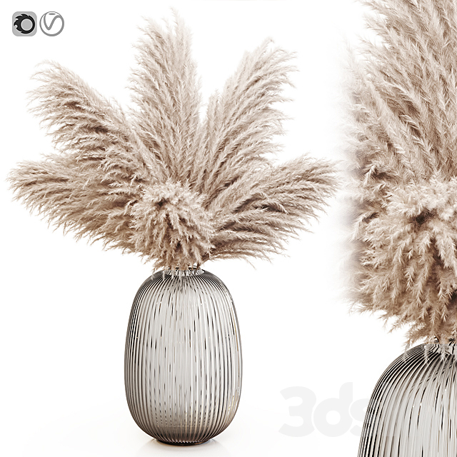 Pampas grass 8 3ds Max - thumbnail 1