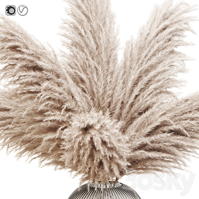 Pampas grass 8 3ds Max - thumbnail 2