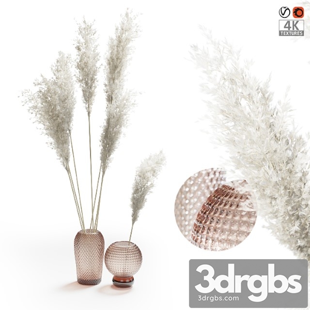 Pampas Grass Bouquet 1 3dsmax Download - thumbnail 1