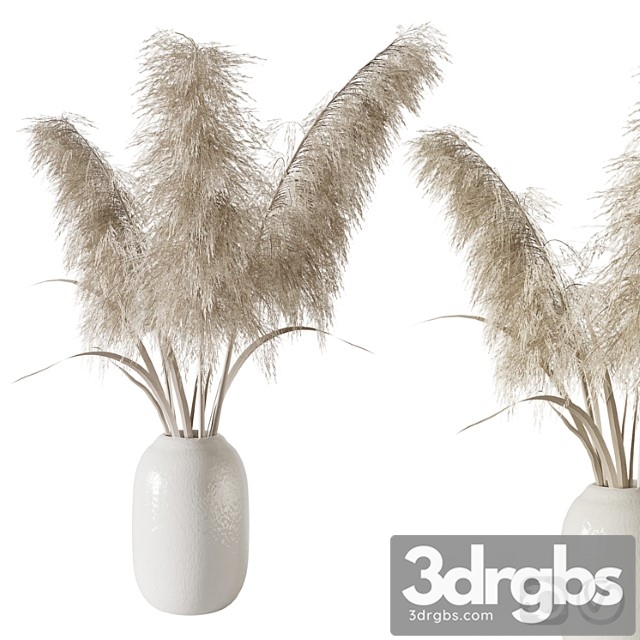 Pampas grass bouquet - thumbnail 1