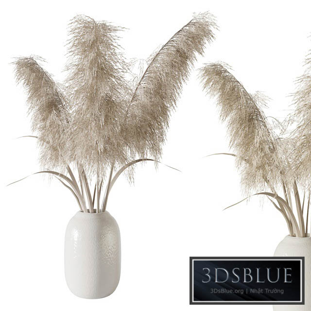 Pampas grass bouquet 3DS Max - thumbnail 3