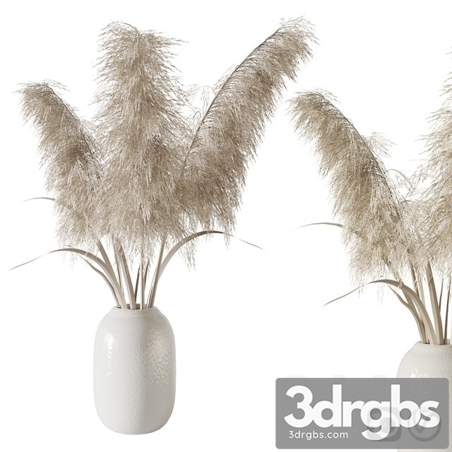 Pampas Grass Bouquet 3dsmax Download - thumbnail 1