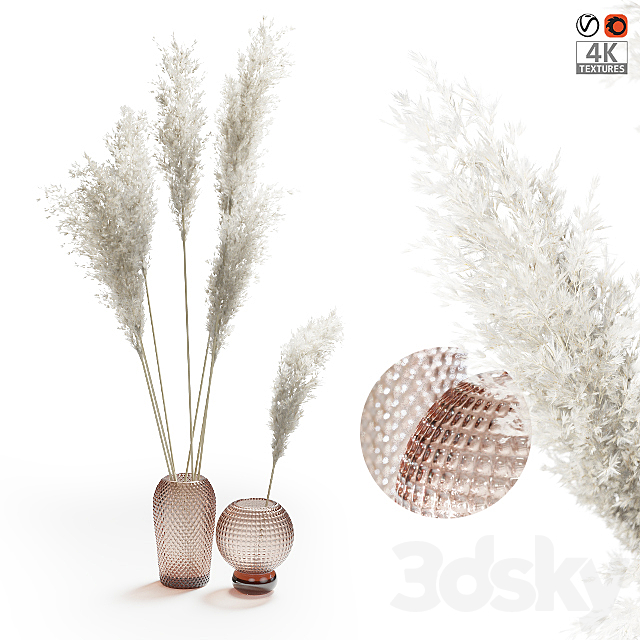 Pampas grass bouquet 3DSMax File - thumbnail 1