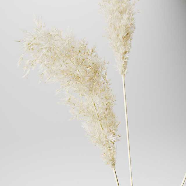 Pampas grass bouquet 3DSMax File - thumbnail 3