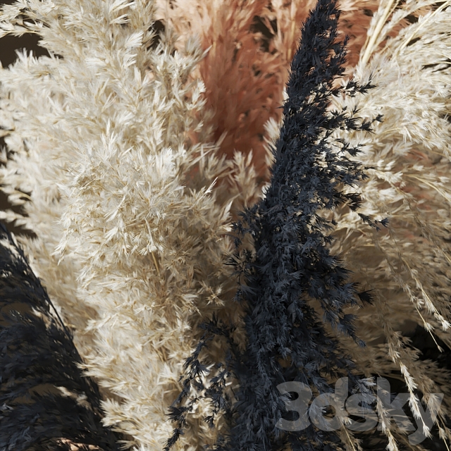 Pampas grass bouquet (Букет пампасной травы) 3DS Max Model - thumbnail 3