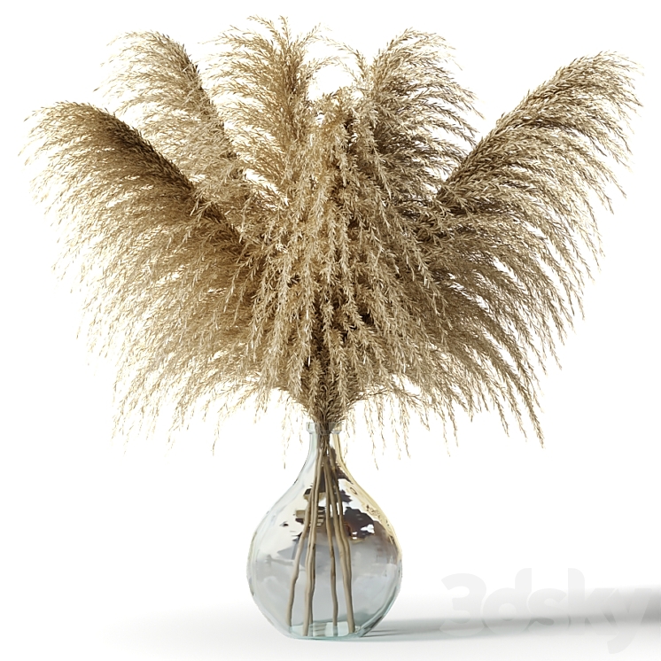 Pampas grass in a glass vase – Sofia Bouquet 3DS Max - thumbnail 1