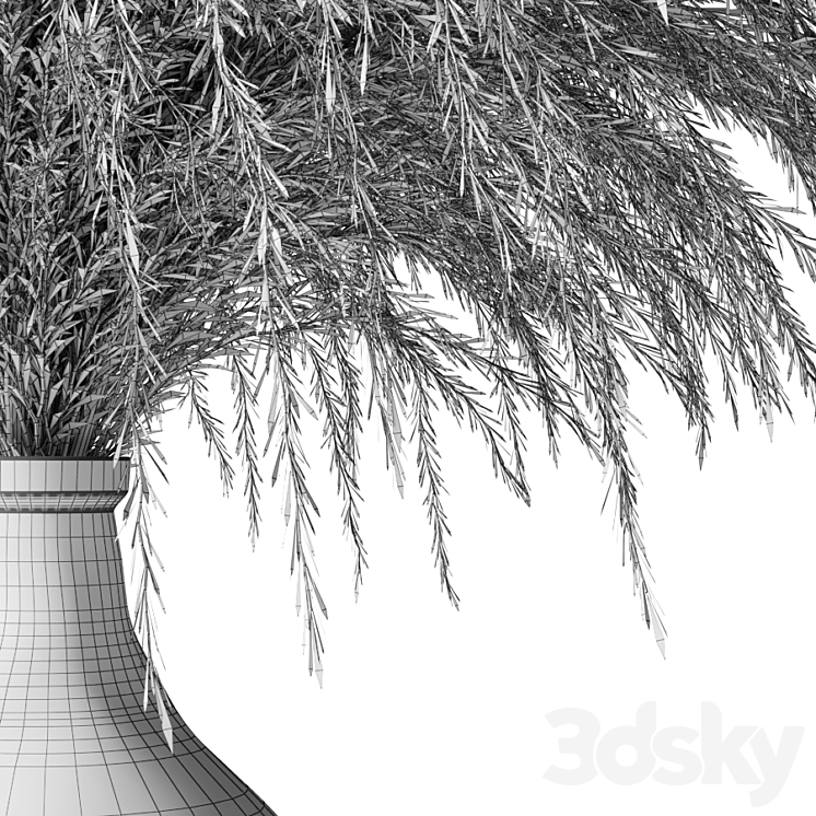 Pampas grass in a glass vase – Sofia Bouquet 3DS Max - thumbnail 2