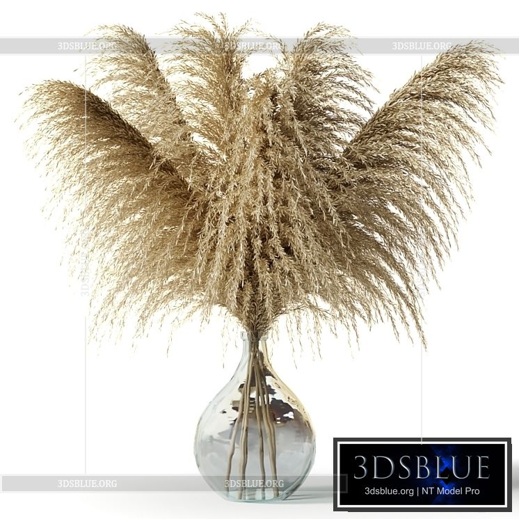 Pampas grass in a glass vase – Sofia Bouquet 3DS Max - thumbnail 3