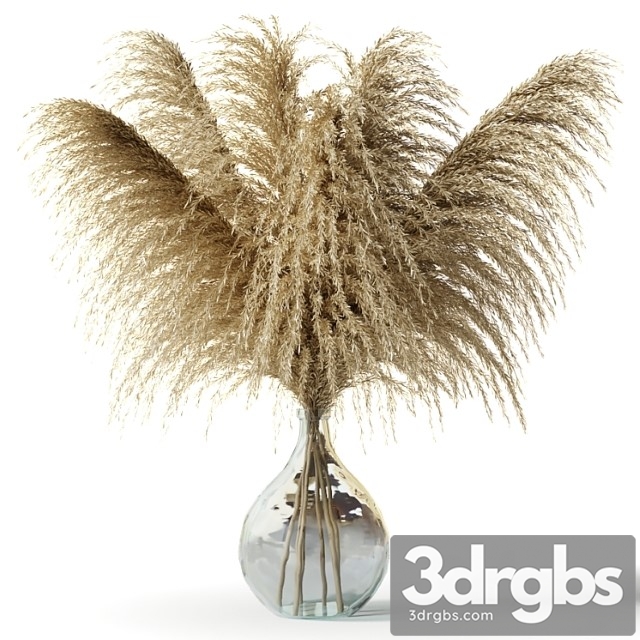 Pampas grass in a glass vase – sofia bouquet - thumbnail 1