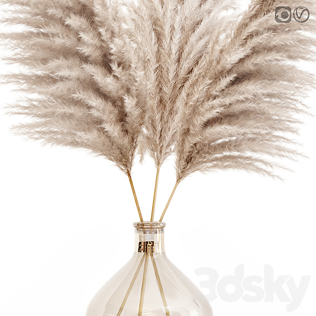 Pampas grass in glass vase 7 3DS Max Model - thumbnail 2