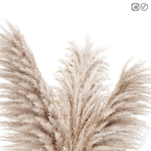 Pampas grass in glass vase 7 3DS Max Model - thumbnail 3