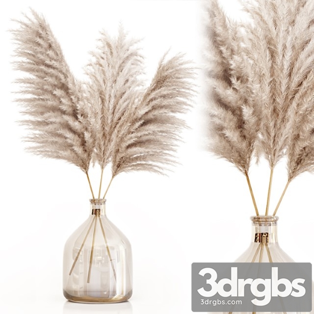 Pampas grass in glass vase 7 - thumbnail 1