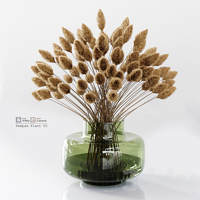 Pampas Plant 02 3DSMax File - thumbnail 1