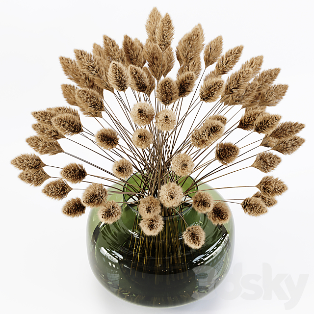 Pampas Plant 02 3DSMax File - thumbnail 5