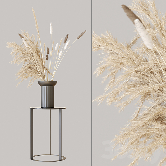 Pampas set 1 3DSMax File - thumbnail 1