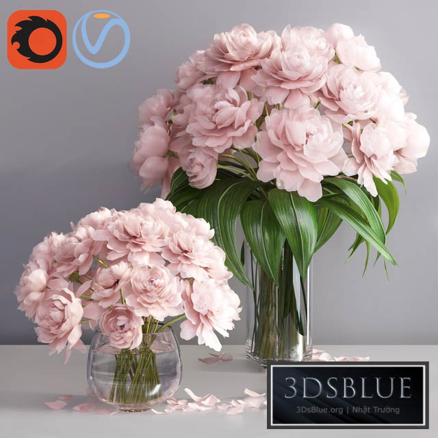 pastel pink peonies in 2 glass vases set 3DS Max - thumbnail 3