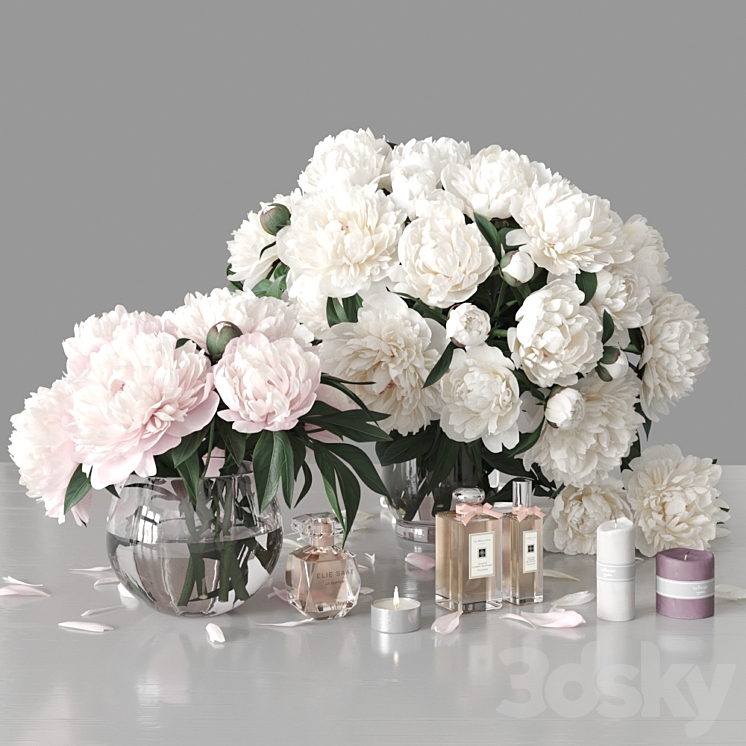 Peonies 2 3DS Max - thumbnail 1