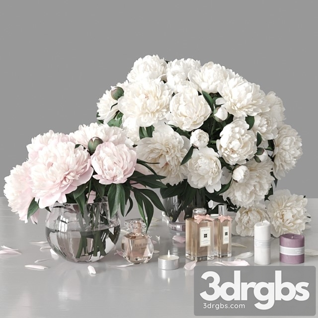 Peonies 2 3dsmax Download - thumbnail 1