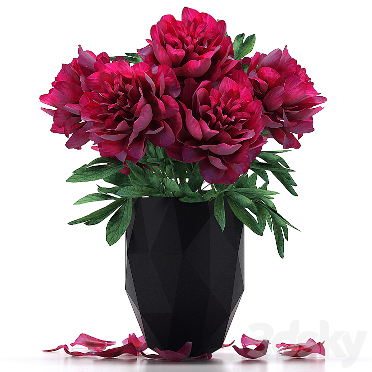 Peonies 3DS Max - thumbnail 1