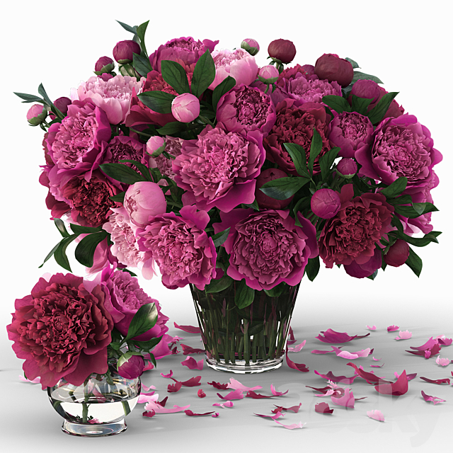 Peonies 3DSMax File - thumbnail 1