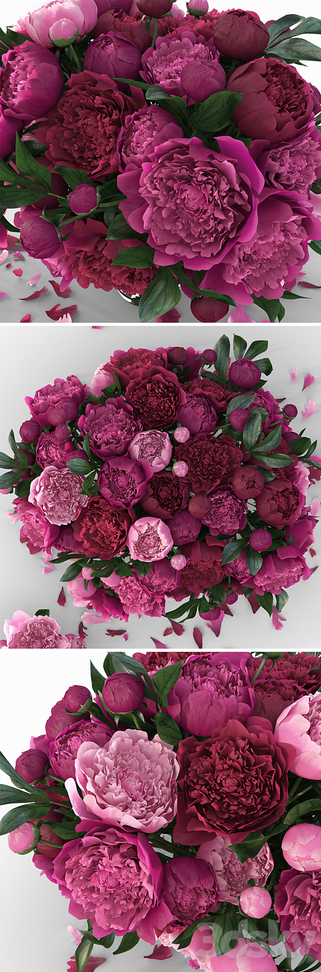 Peonies 3DSMax File - thumbnail 2