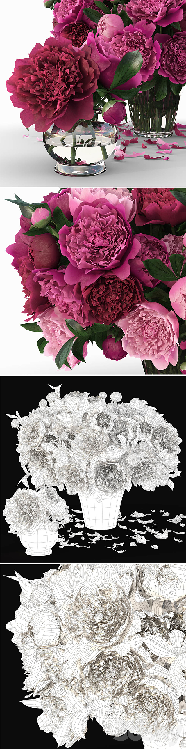 Peonies 3DSMax File - thumbnail 3