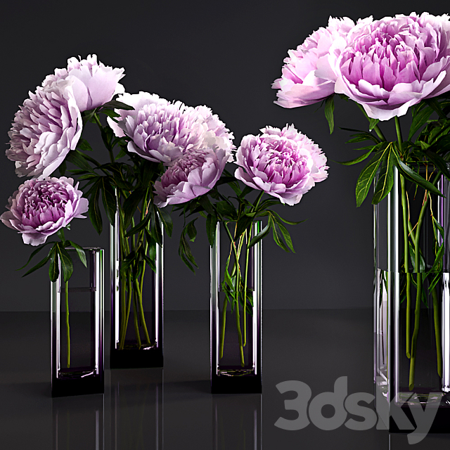 Peonies 3DSMax File - thumbnail 1