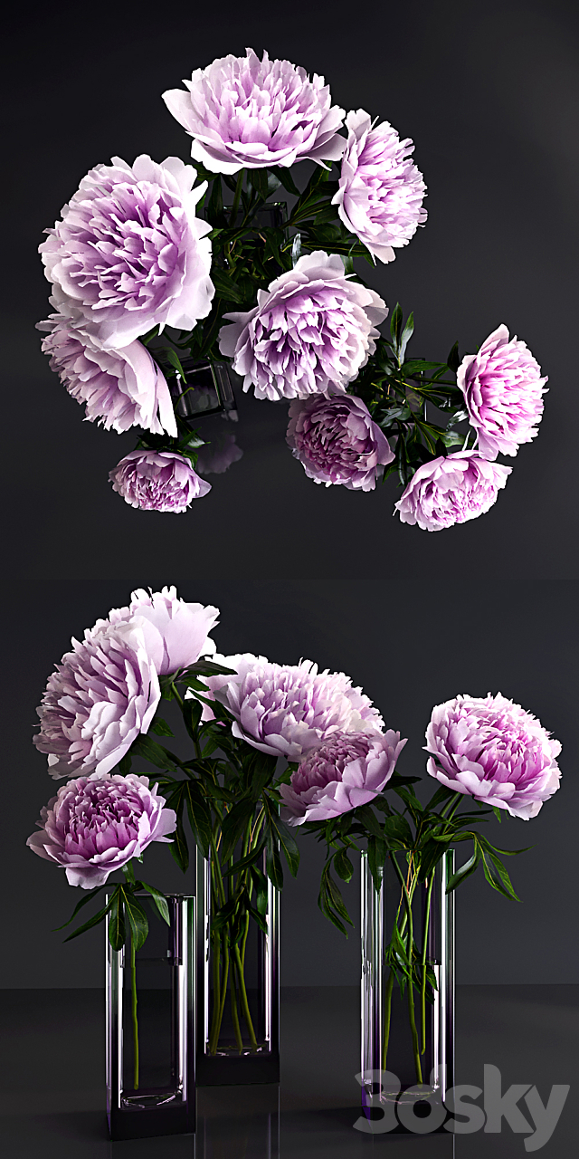 Peonies 3DSMax File - thumbnail 2