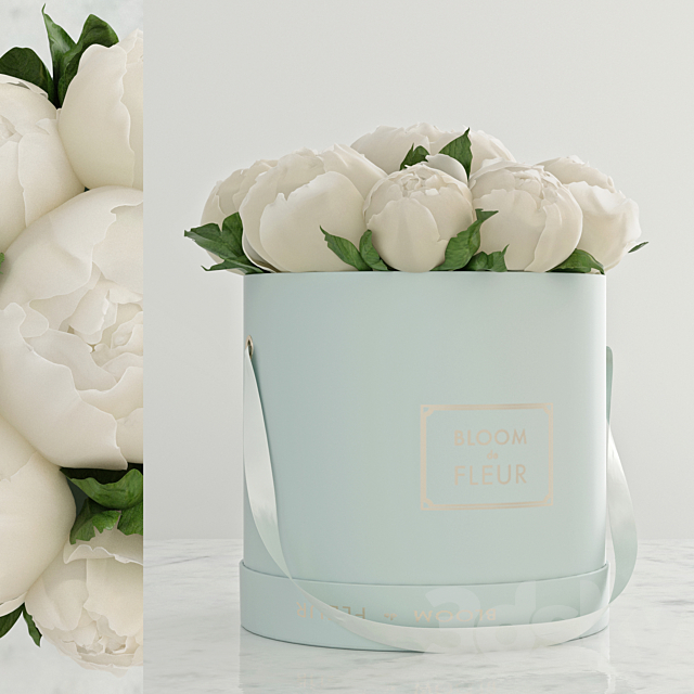 Peonies 3DSMax File - thumbnail 1