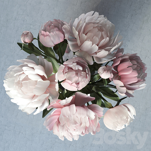 peonies 3DSMax File - thumbnail 2