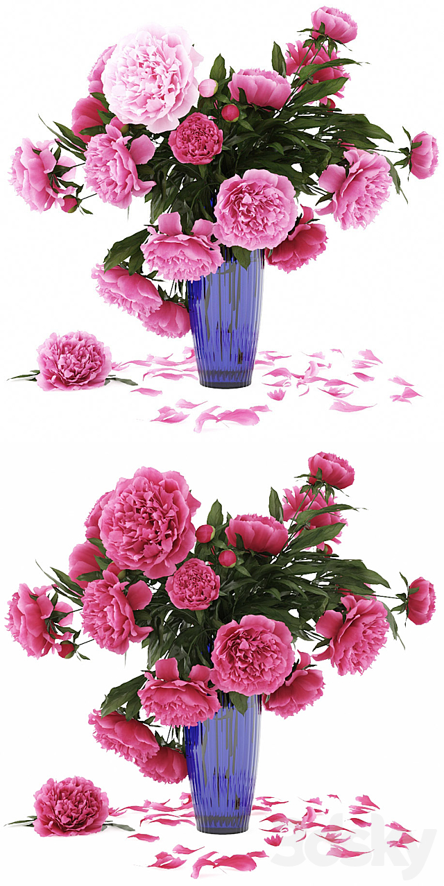 Peonies 3DSMax File - thumbnail 3