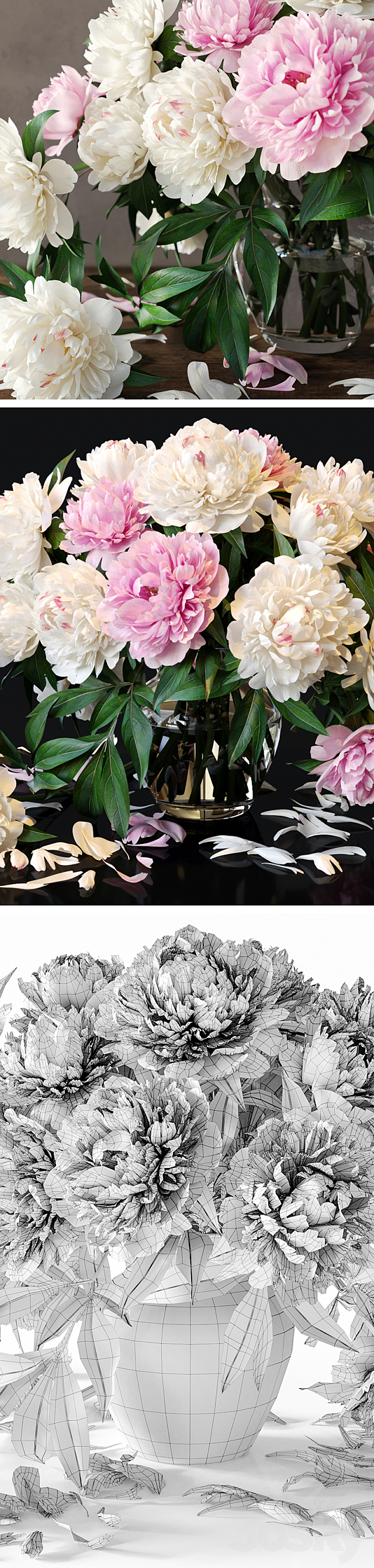 Peonies 3DSMax File - thumbnail 3