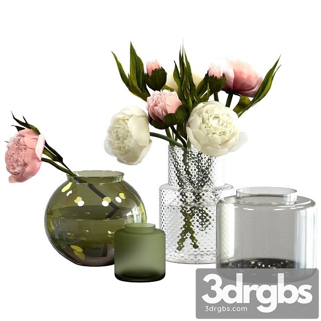 Peonies in IKEA Vases 3dsmax Download - thumbnail 1