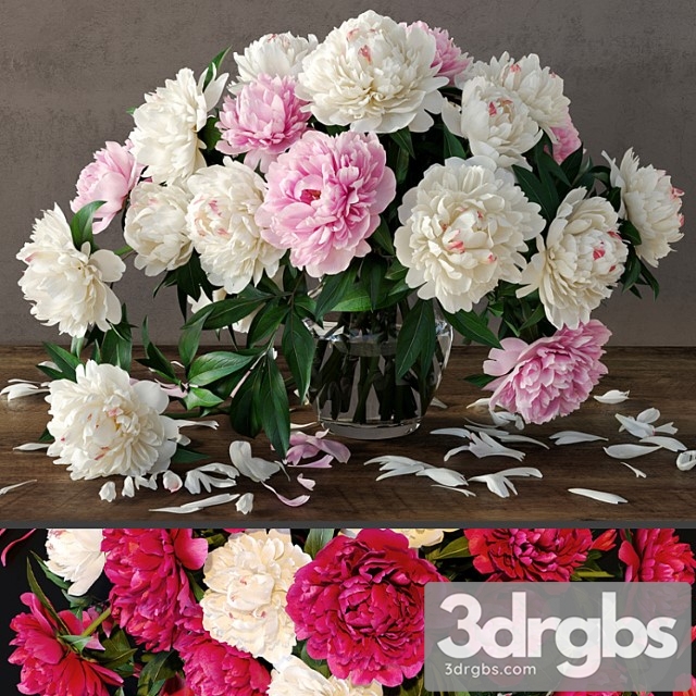 Peonies_2 - thumbnail 1