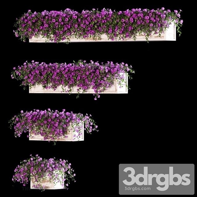 Petunia Bouquet Set 3dsmax Download - thumbnail 1