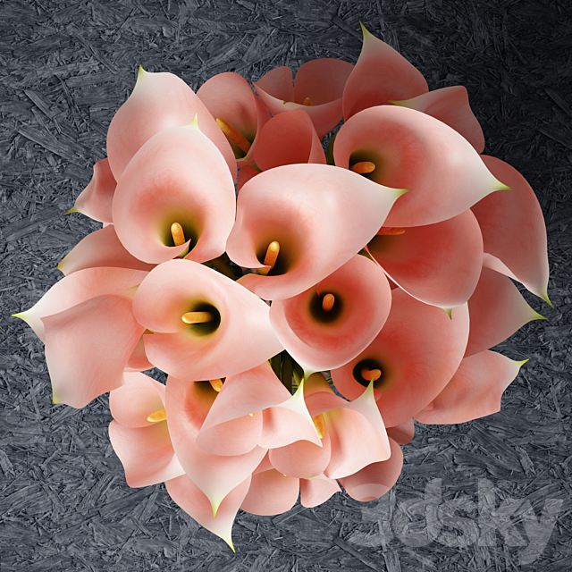 Pink callas 3DS Max Model - thumbnail 3