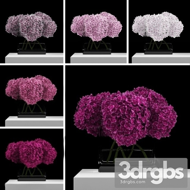 Pink Hydrangeas 3dsmax Download - thumbnail 1