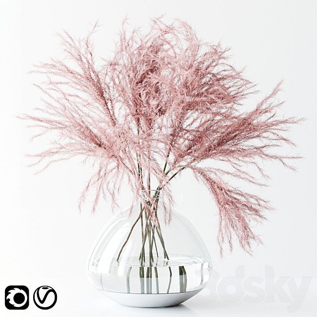 Pink pampas 3ds Max - thumbnail 1