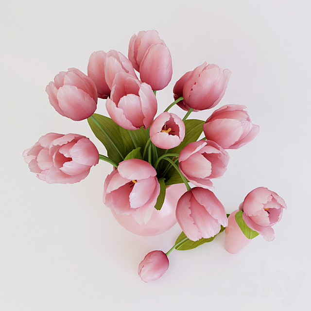 Pink tulips 3DSMax File - thumbnail 2