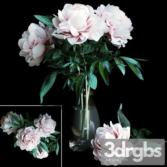 Pion Bouquet 3dsmax Download - thumbnail 1