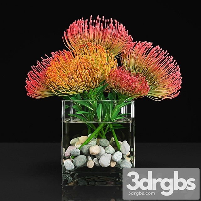 Plant 13 6 3dsmax Download - thumbnail 1