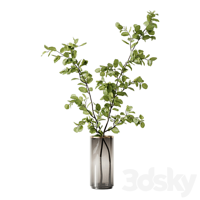 Plant 3 3DS Max Model - thumbnail 5