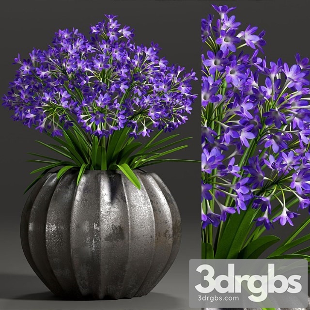 Plant 8 1 3dsmax Download - thumbnail 1