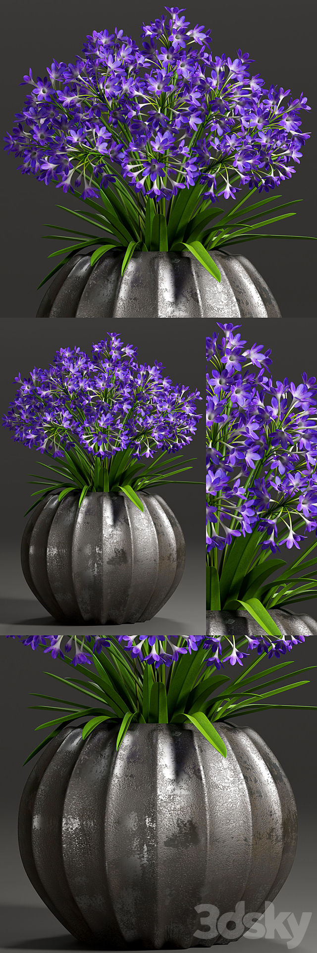 Plant – 8 3ds Max - thumbnail 1